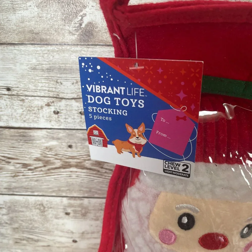 Vibrant Life 5 Pc Dog Toy Stocking Holiday Christmas Gift Set Red Chew Level 2